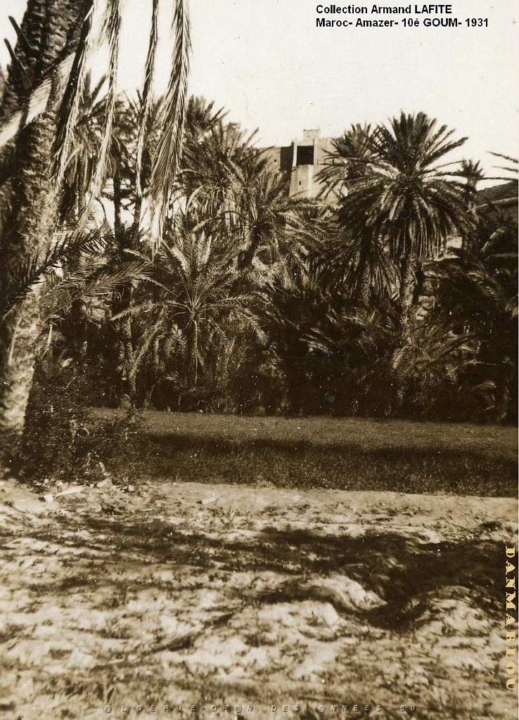 PERIODE MAROCAINE 1928 1930 LAFITE A- 337- Amazer.jpg